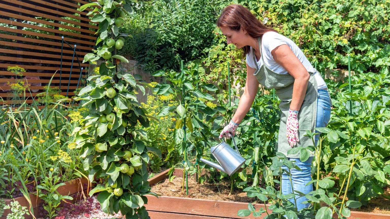 Run your own gardening business? Our Edmonton storage will help you