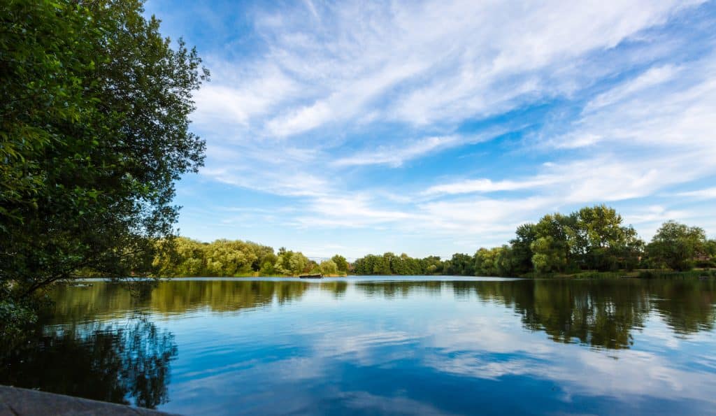 7 Amazing things to do in Woking. Summer lake landscape with green trees and bush, blue sky and calm water in Goldsworth Park, Woking, Surrey, England