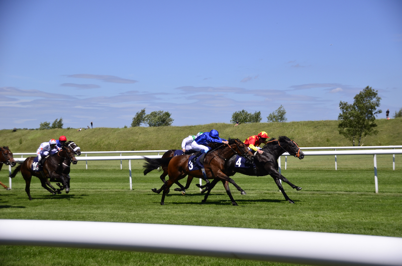 Top things to do in Newmarket, image shows Newmarket Horse Race with clear blue skies and brown horses riding on green grass with a jockey in a red top and a jockey in a blue top