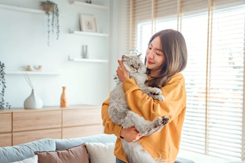 St Neots Storage. Image shows a woman in an orange jumper cuddling her grey cat in her living room.