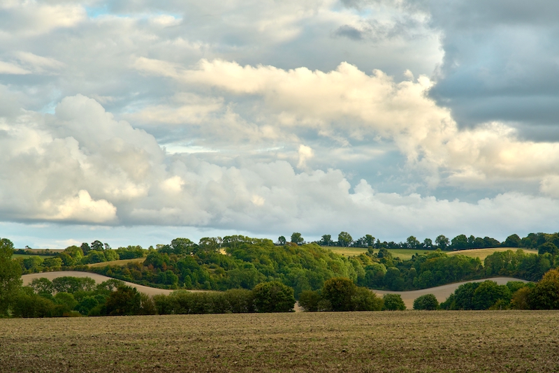 Storage Wootton. Image shows scenic shot of the Chiltern hills.