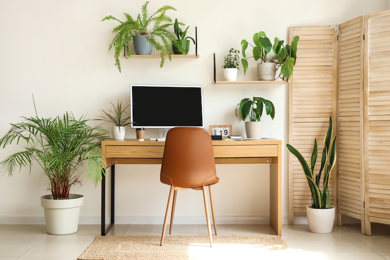 Storage near Watford. Image shows a light and airy office with wooden desk, brown chair and green houseplants.