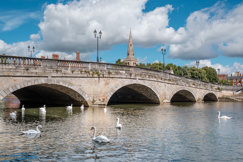 Is Bedford a nice place to live. Image shows a group of Mute Swans on the river Great Ouse by the town bridge in the county town of Bedford in Bedfordshire, England with the spire of St Paul's Church