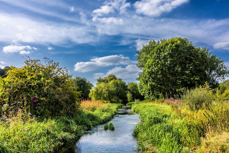 5 best places to live in Hertfordshire. Image shows the River Beane in Waterford Heath.